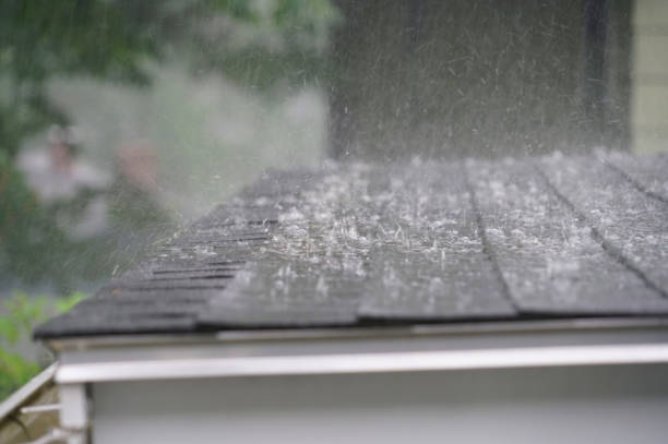 Best Sheet Metal Roofing  in West Monroe, MI