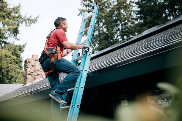 Best 4 Ply Roofing  in West Monroe, MI